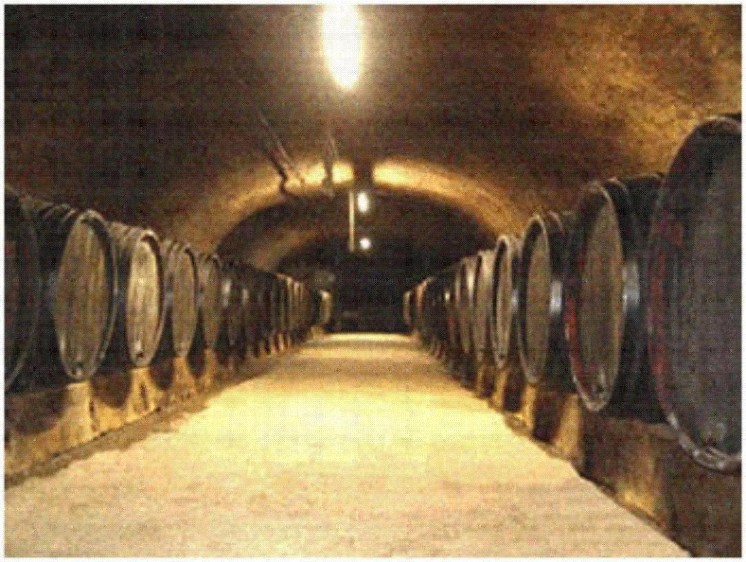 Ferienweingut Peter-Jos. Hauth Bernkastel-Kues Dış mekan fotoğraf