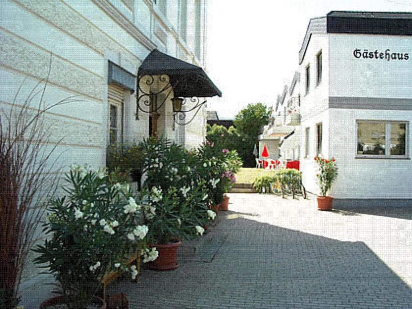 Ferienweingut Peter-Jos. Hauth Bernkastel-Kues Dış mekan fotoğraf